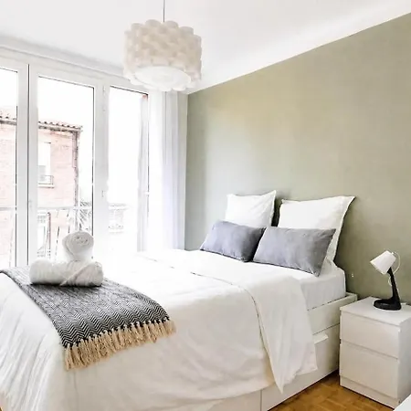 Le Petit Cocoon Toulousain T2 Climatise Toulouse