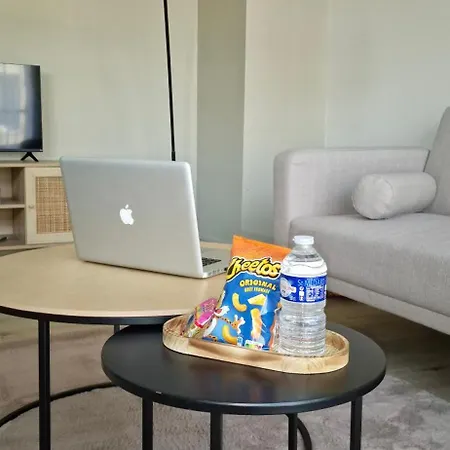 Le Petit Cocoon Toulousain T2 Climatise Apartment